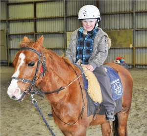 horse 1